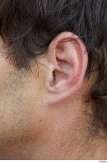 Street  699 ear 0002.jpg